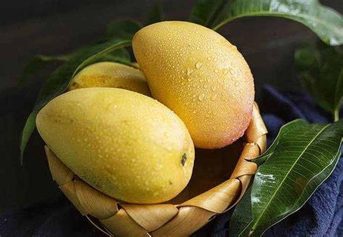 【RCEP财讯】柬埔寨芒果在俄罗斯市场受欢迎